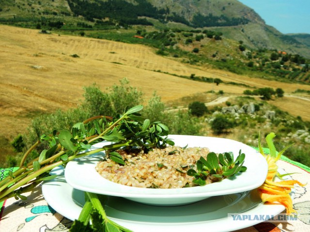 Каша с дандуром и красным вином