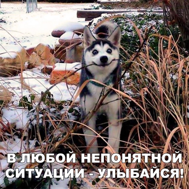 Прикольные картинки абавсём