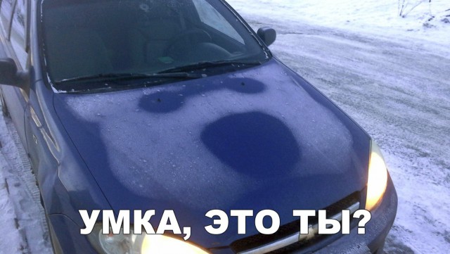 Нестандартный юмор