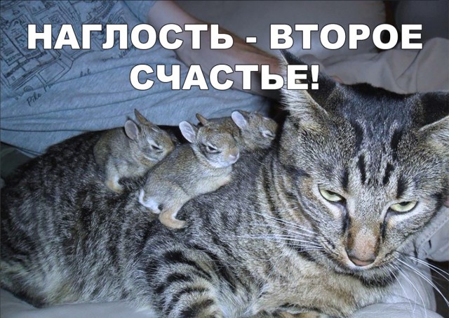 Нестандартный юмор
