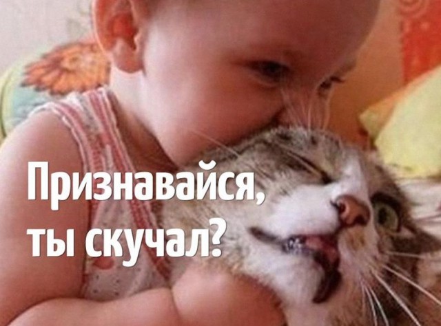 Плюсы и минусы развода глазами женщины