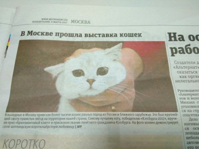 Картинки на вечер