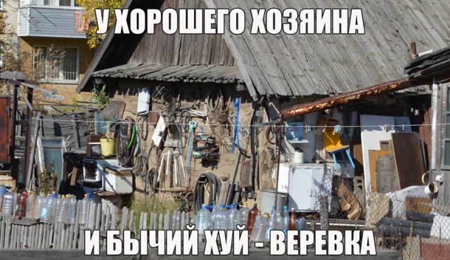 Немного картинок для настроения 08.10.19
