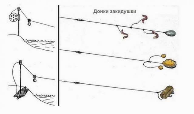 Вопрос рыбакам, нужен совет экспертов