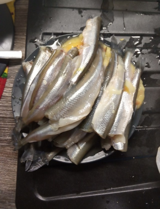 Корюшка на Ладожском озере