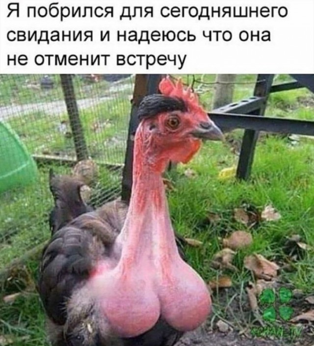 Бредзона 14.05.20