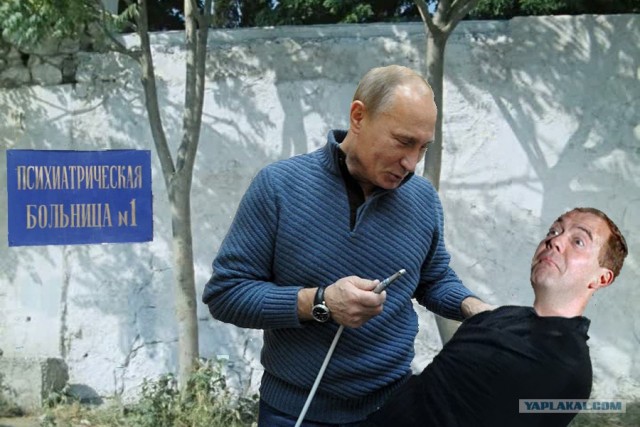 Фотожаба: Стоматолог Путин