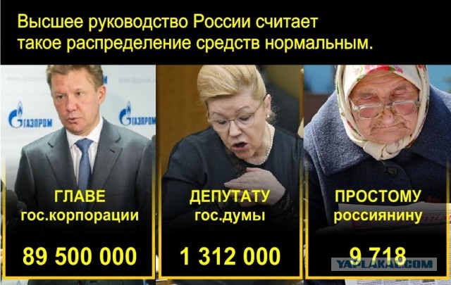 Очередное "умное" высказывание чиновницы