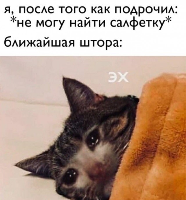 АХТУНГ! все на плановую деградацию!