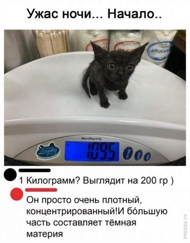 Картинки и мемы для настроения