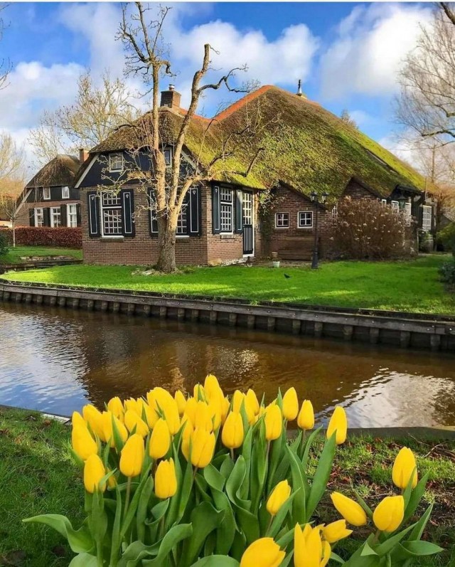 Калейдоскоп картинок