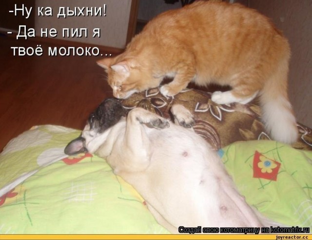 Алкопост выходного дня