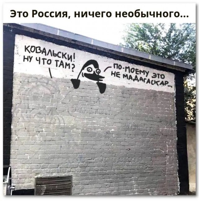 В Чебоксарах закрасили (разумеется, серой краской) яркий арт о Гарри Поттере на трансформаторной будке