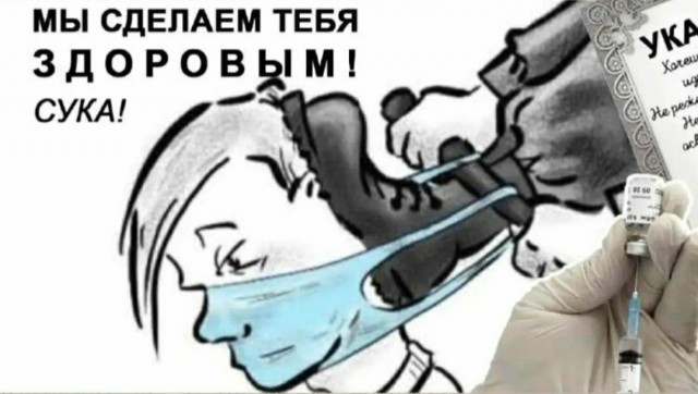 Путин выступил против введения ограничений с QR-кодами под Новый год