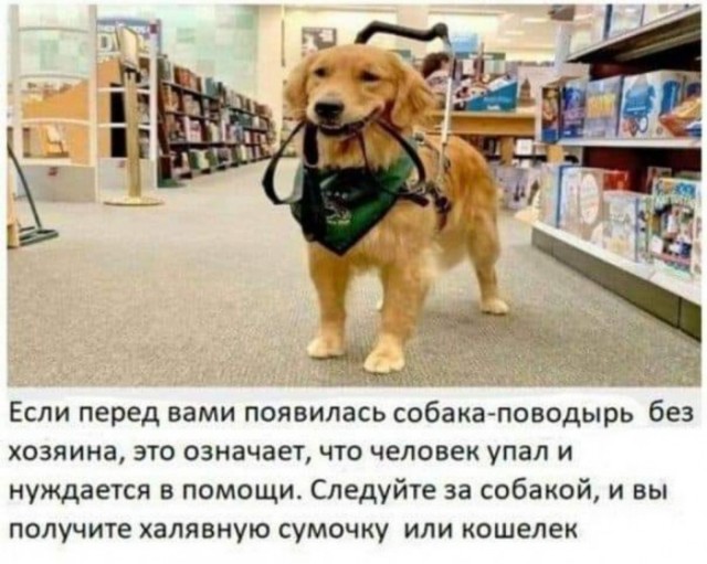 Всякие картинки,  но больше куаркодная и политота