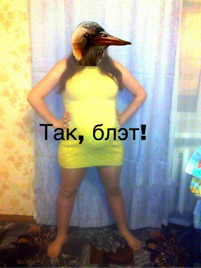 Скотсети и прочие интернеты 04.02.22
