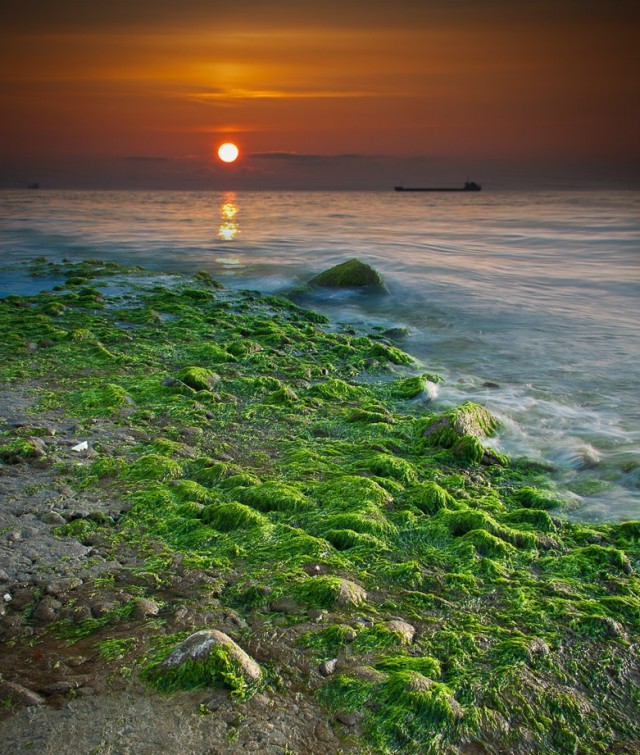Чёрное море