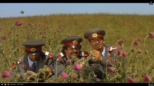 В Болгарии начали красть авто беженцев.