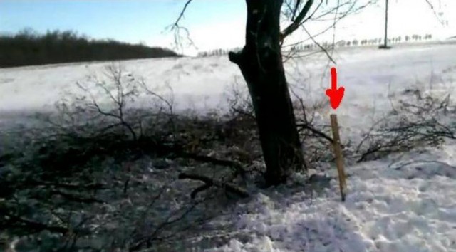 Же сви Волноваха
