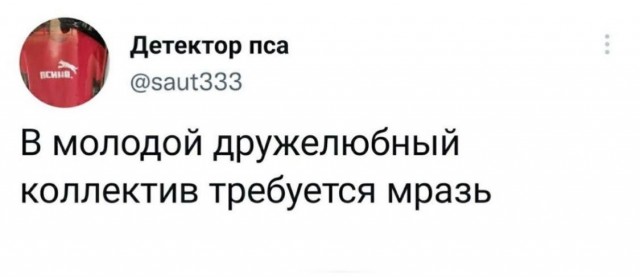 Отзывы, объявления, переписки #5