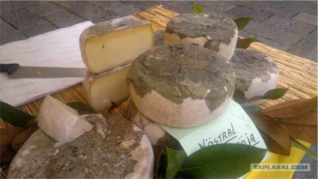 Италия: Милан, Генуя, Венеция