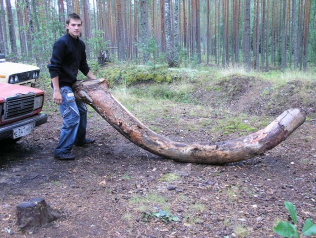 Все хотели, чтобы было смешно, но не у всех получилось