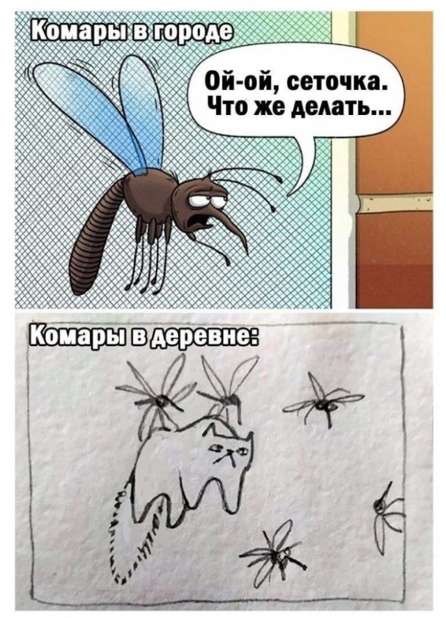 Картинки и мемы. Выходные близко, близко...