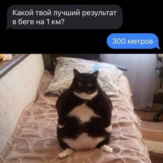 Скриншоты и комментарии из социальных сетей 04.09.22