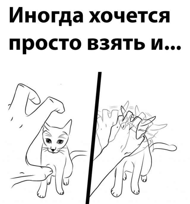 Картинки и мемы для настроения - 133