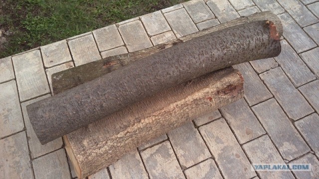 Гитара из бревна