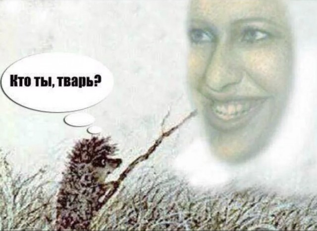 "Кто ты, тварь", сборник мемов про качков