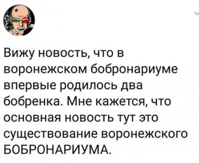 Забавные комментарии из социальных сетей (03.04.23)