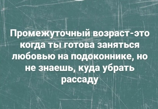 Всего понемногу. Пятничный выпуск