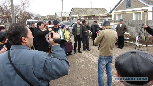 Крым в феврале или "Не стреляйте в белых лебедей!"