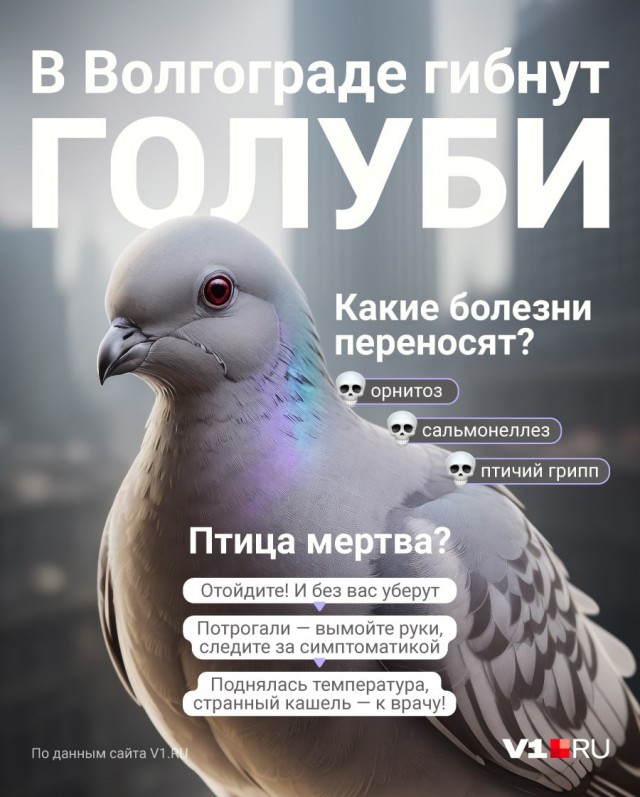 Год назад. Доклад ООН про изменение климата: худшее впереди