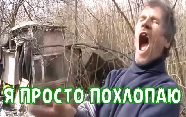 Травим ос весело, под музон