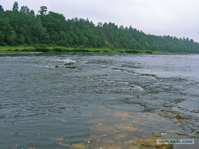 Реки, большие и маленькие