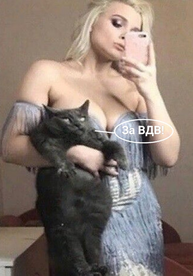 Боевые коты Первой Мировой