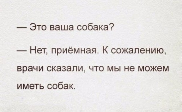Кошатники, берем на заметку