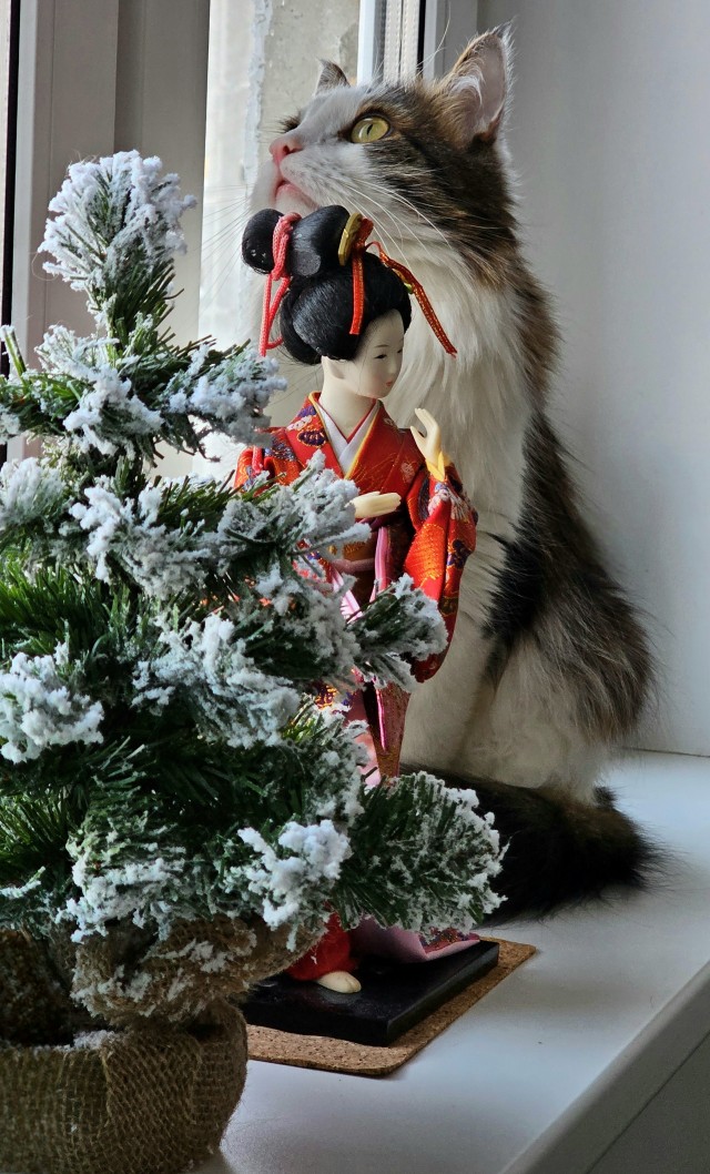 С котовторником ЯПовцы