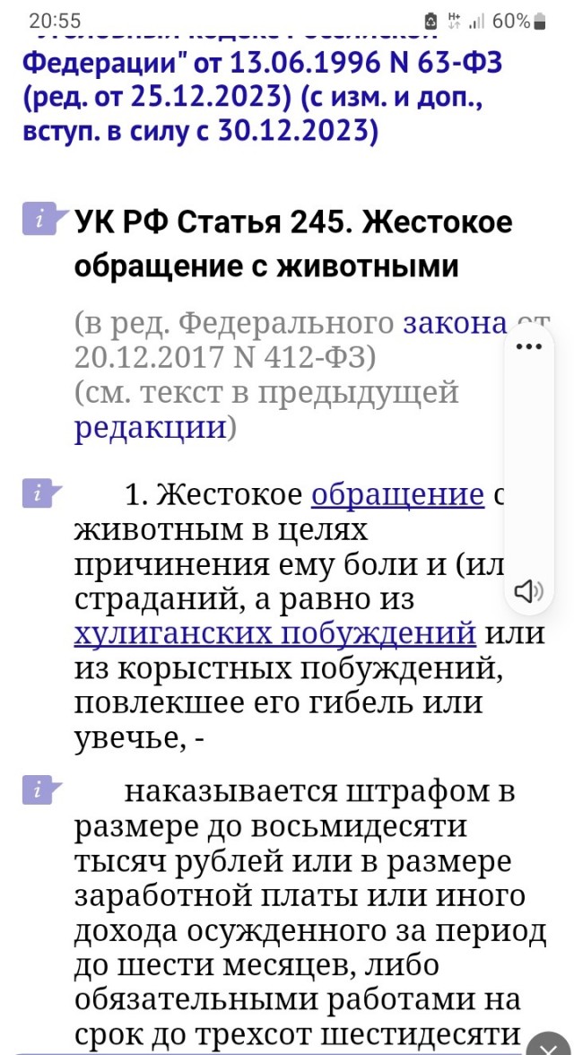 Про выкинутого из поезда кота и как в своей глупости обвинить всех⁠⁠