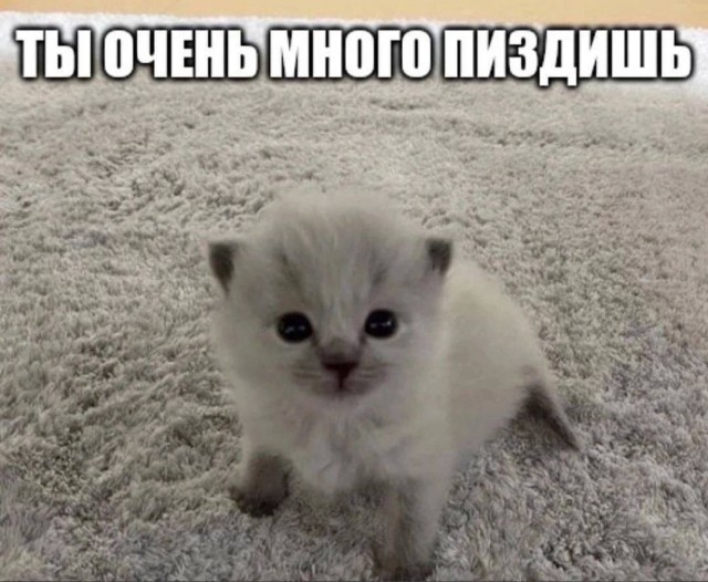 Всего понемногу. От 27.02.24