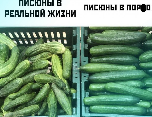 ТРРРидцать тРРРи от 3 мая