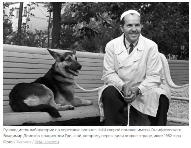 Эксперимент Демихова
