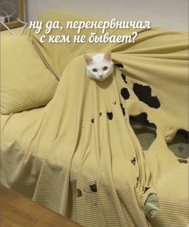 Так себе картинки 18.07.24