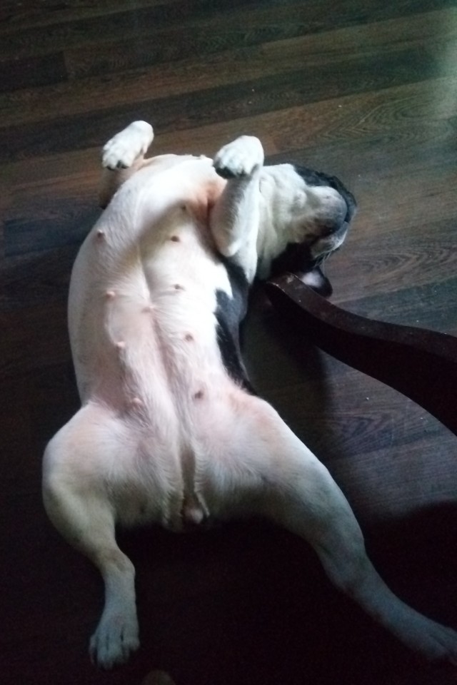 А у Даны д.р. Ей 10 лет!