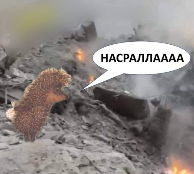 Насралла капут?