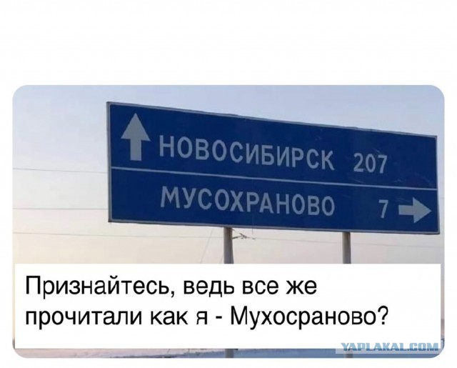 Завалялось тут случайно немного забавных картинок