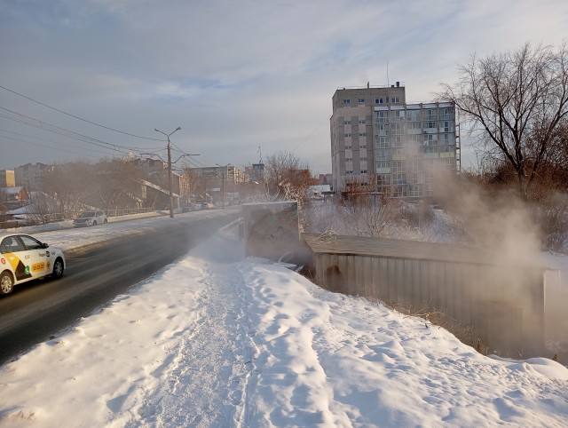 Чудо природы в Барнауле