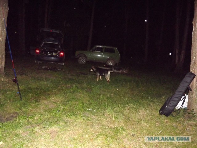 Мистики псто.